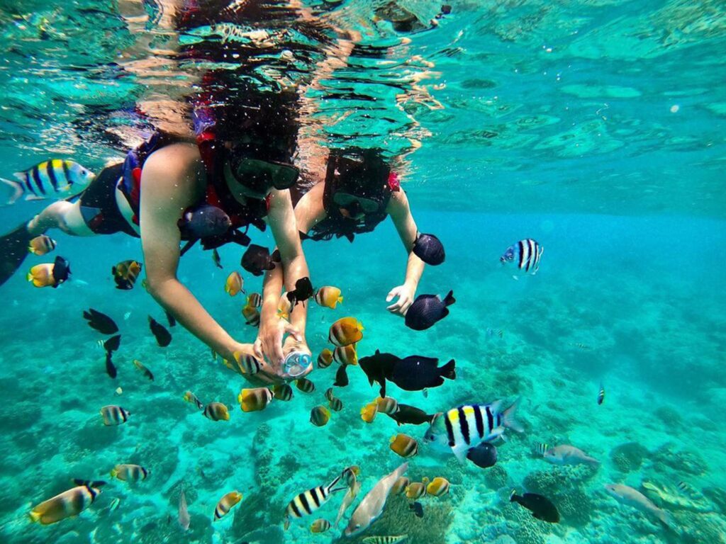Blue Lagoon Snorkeling Adventure Experience | King Julian Bali Tour – Bali Private Tour & Activities
