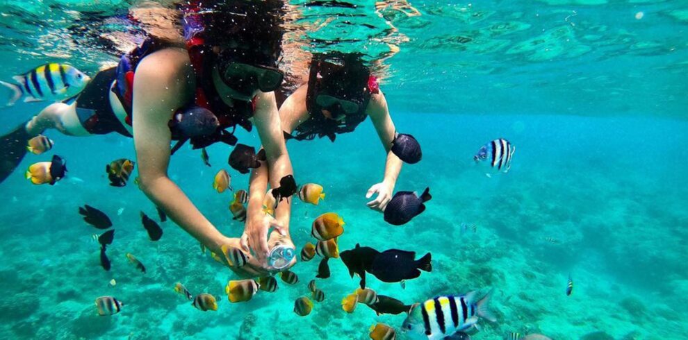 Blue Lagoon Snorkeling Adventure Experience | King Julian Bali Tour – Bali Private Tour & Activities