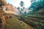 Best Time to Visit Bali: Weather, Seasons, and Travel Tips King Julian Bali – Private Tour & Activities