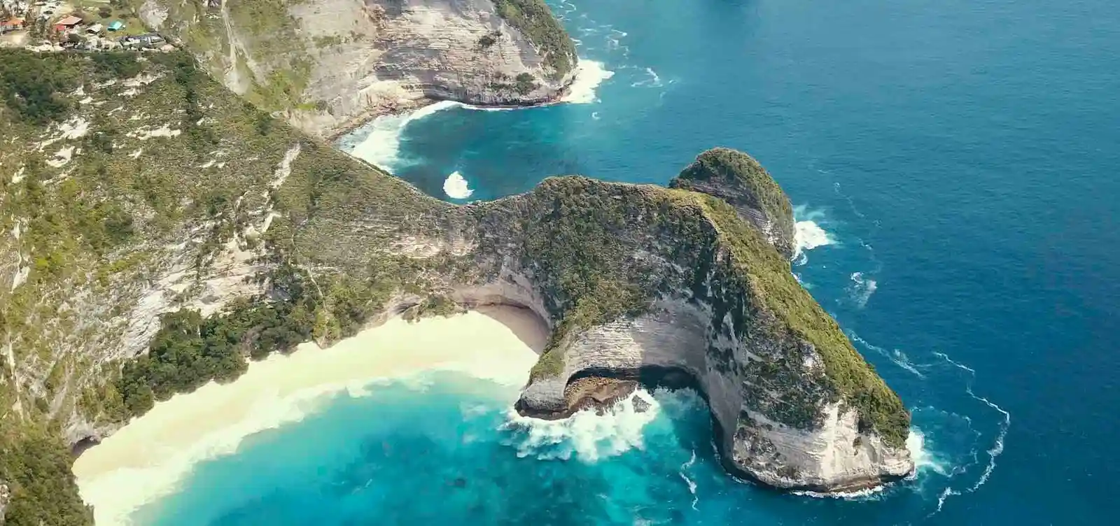 King Julian Bali – Private Tour & Activities
