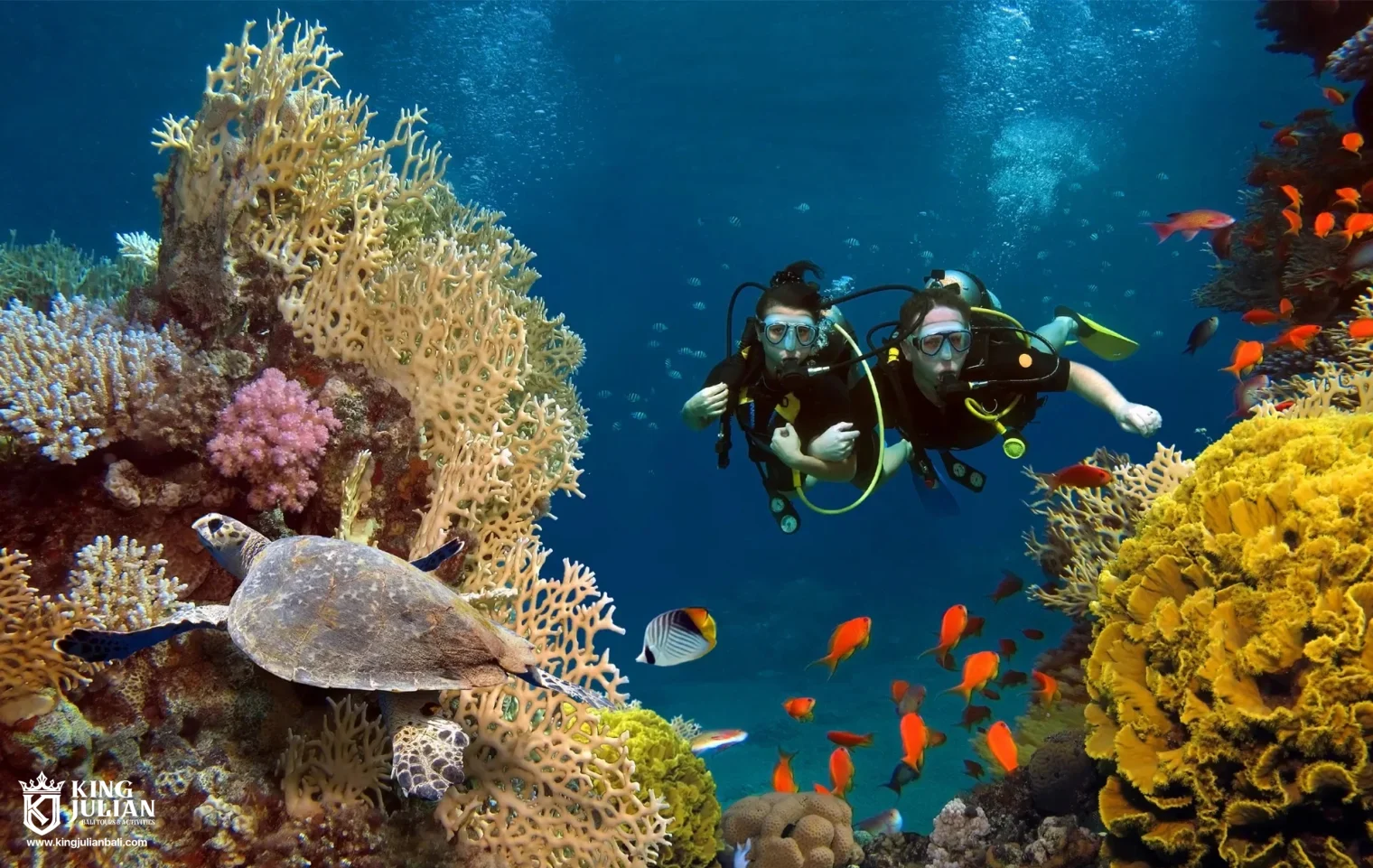 Bali Fly Board – Extreme Water Sport Experience in Tanjung Benoa King Julian Bali – Private Tour & Activities