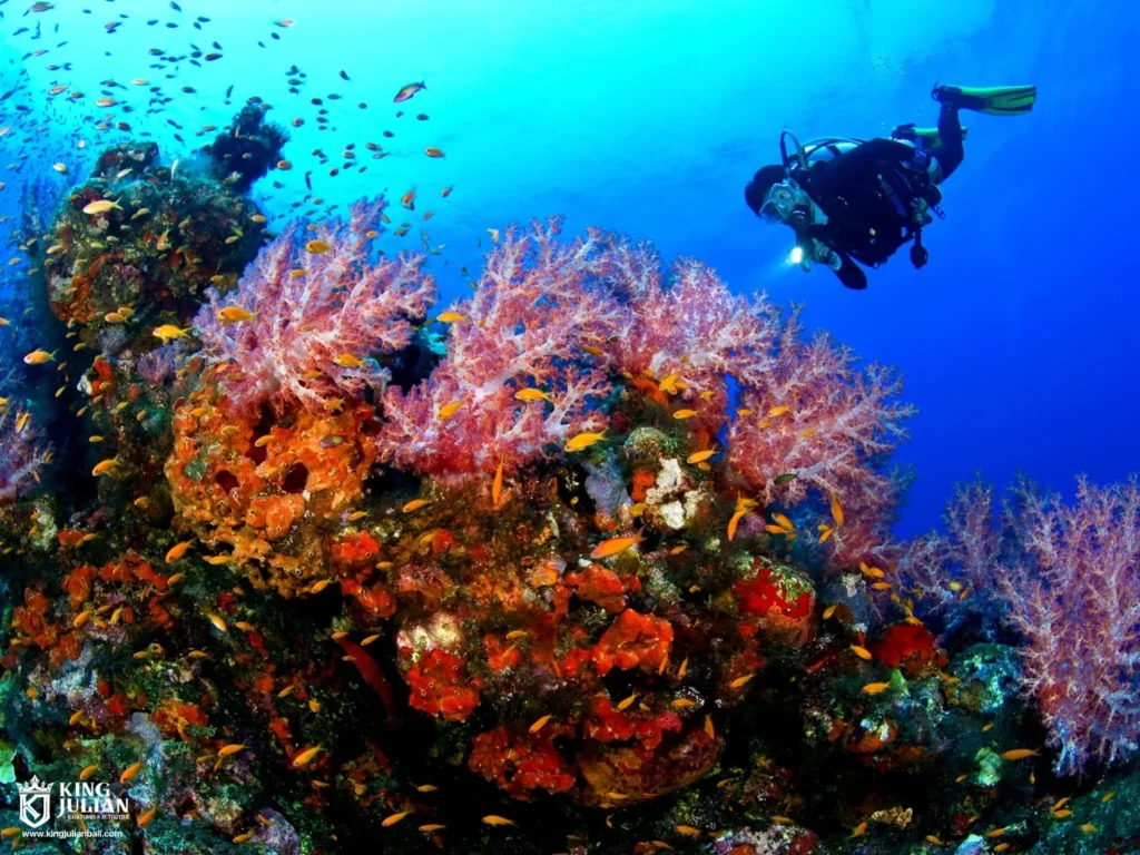 Bali Fly Board – Extreme Water Sport Experience in Tanjung Benoa King Julian Bali – Private Tour & Activities