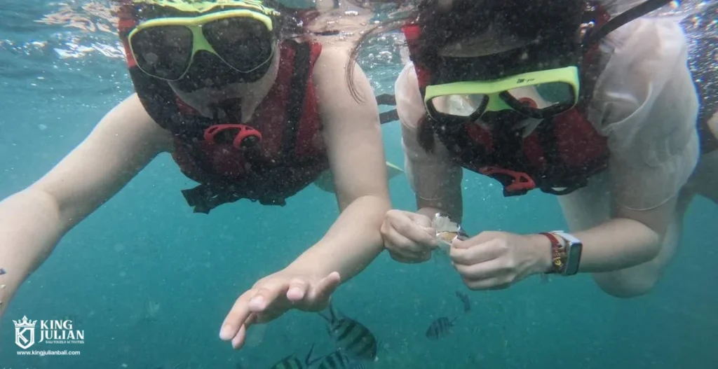 Bali Fly Board – Extreme Water Sport Experience in Tanjung Benoa King Julian Bali – Private Tour & Activities