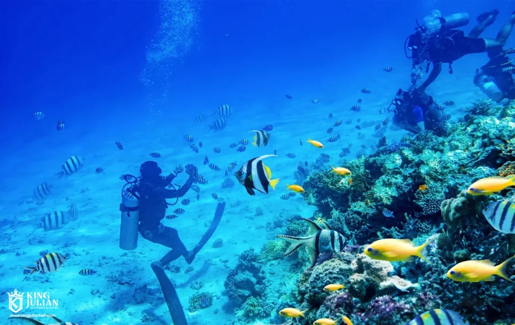 Bali Fly Board – Extreme Water Sport Experience in Tanjung Benoa King Julian Bali – Private Tour & Activities